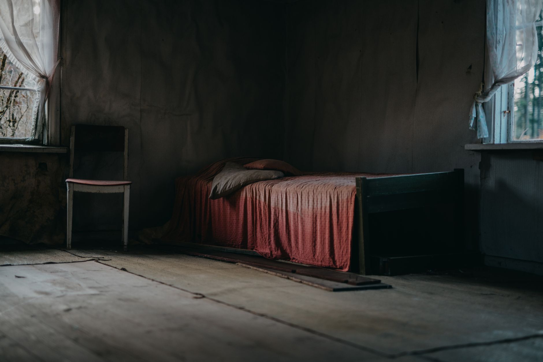 Traitement punaises de lit à Saint-Cyr-l'École